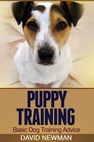 Puppy Training Basic Dog Training Advice