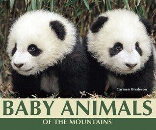 Baby Animals of the Mountains