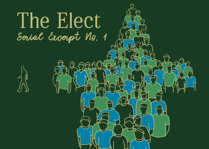 The Elect: The Threat to a Progressive America from Anti-Black Antiracists