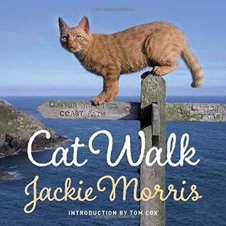 Cat Walk