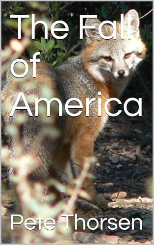 The Fall of America