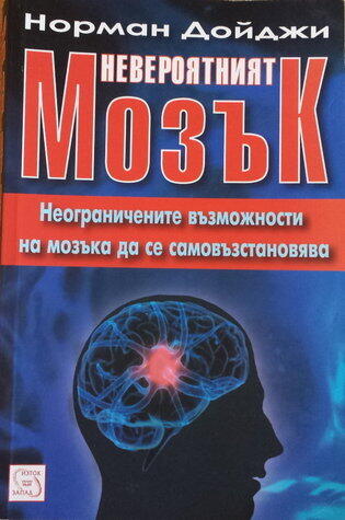 Невероятният мозък