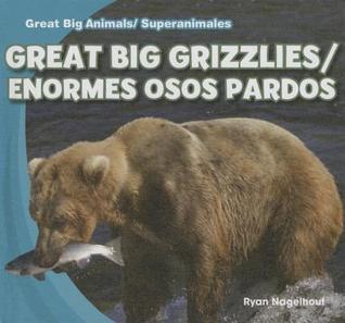 Great Big Animals / Superanimales
