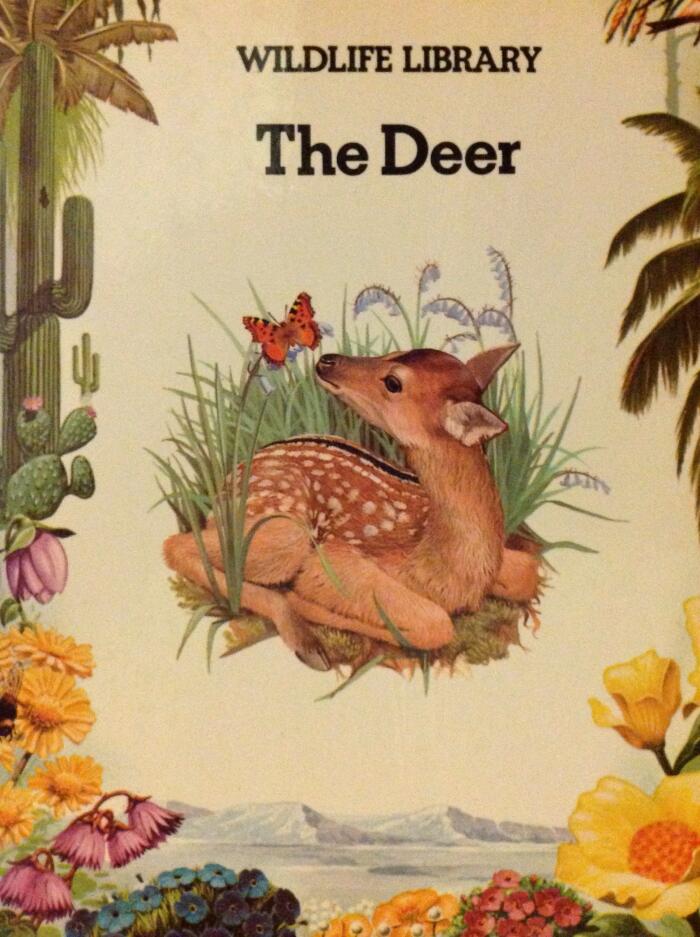 The Deer - Wildlife Library