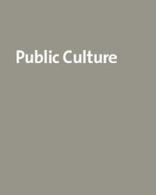 Johannesburg: The Elusive Metropolis (Volume 16) (Public Culture