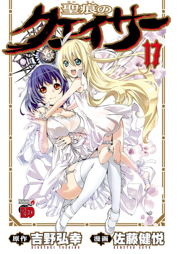 Seikon No Qwaser, Vol. 17