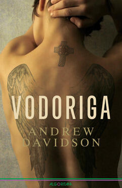 Vodoriga