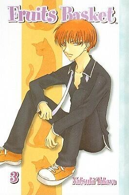 Fruits Basket, Vol. 3