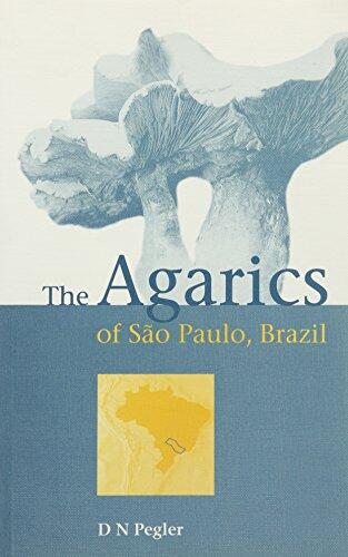 Agarics of Sao Paulo, Brazil