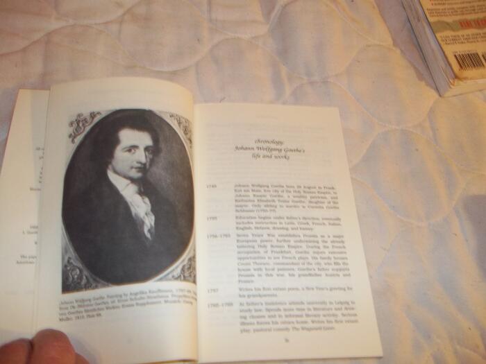 Goethe's Faust: Theater of the World