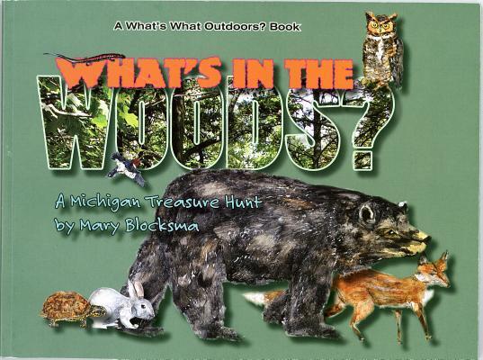 What's In the Woods?: A Great Lakes Area Treasure Hunt