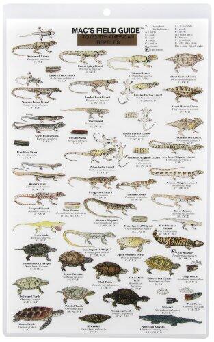 Mac's Field Guide to Reptiles of North America (Laminated Card)