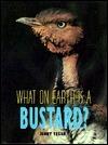 What on Earth Is a Bustard?