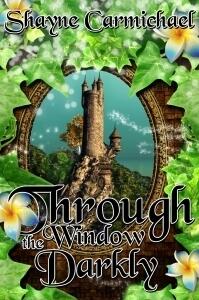 Through the Window Darkly