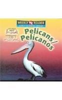 Pelicans/Pelicanos: Let's Read About Animals / Conozcamos a Los Animales