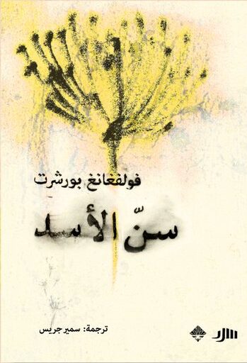 سن الأسد