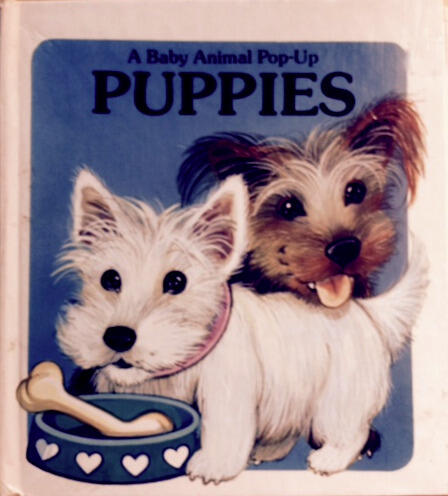 Puppies