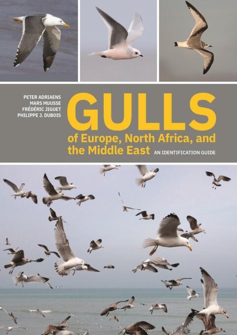 Gulls of Europe, North Africa, and the Middle East: An Identification Guide