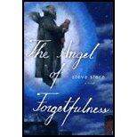 Angel of Forgivetfulness (05) by Stern, Steve [Hardcover (2005)]