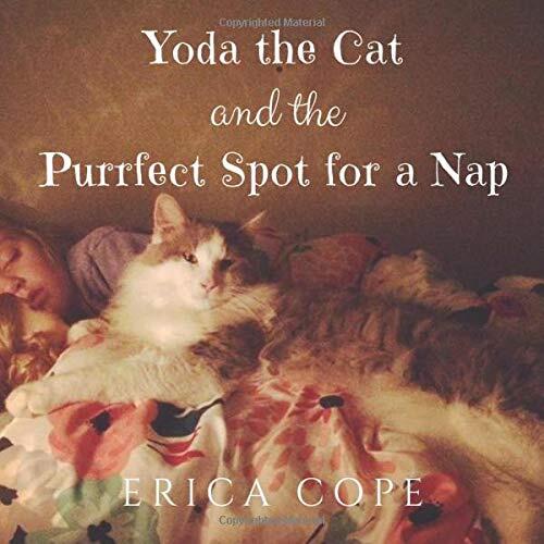 Yoda the Cat and the Purrfect Spot for a Nap