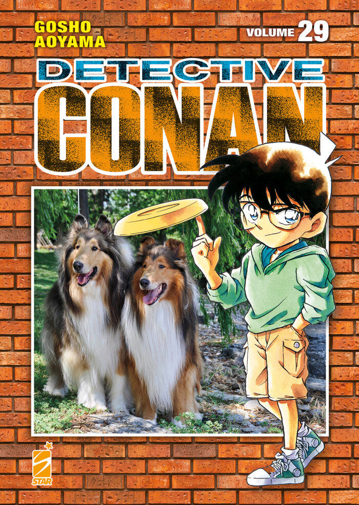 Detective Conan. New Edition, Vol. 29