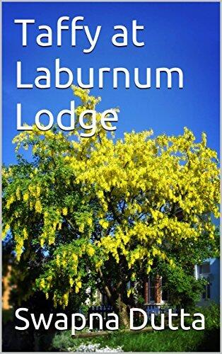 Taffy at Laburnum Lodge
