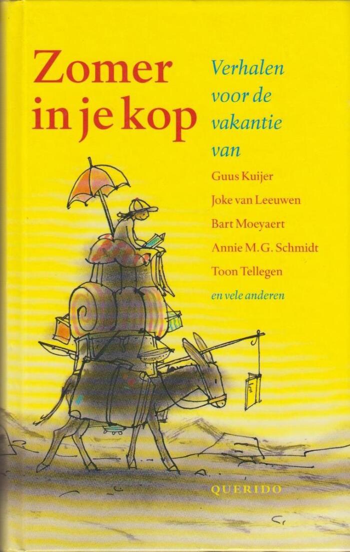 Zomer in je kop. Verhalen voor de vakantie