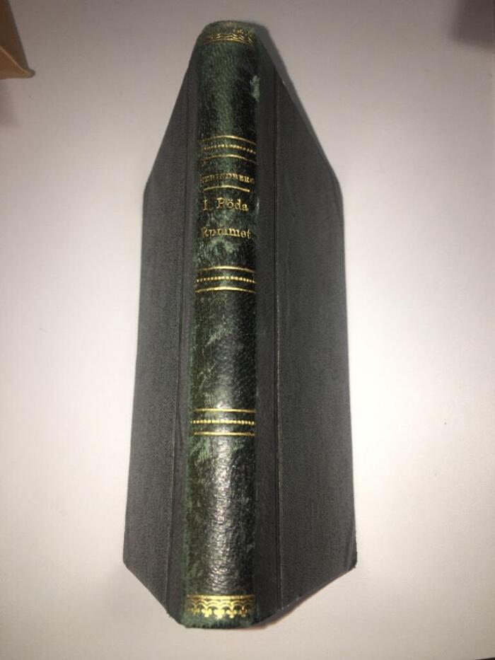Tjänstekvinnans son: I röda rummet: en själs utvecklingshistoria, 1872-1875