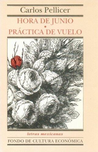 Hora e Junio / Practica de Vuelo