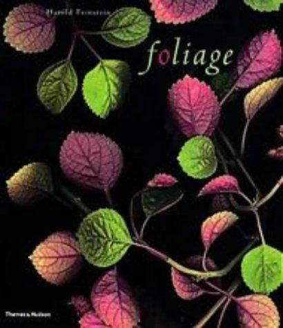HAROLD FEINSTEIN FOLIAGE (ANGLAIS)