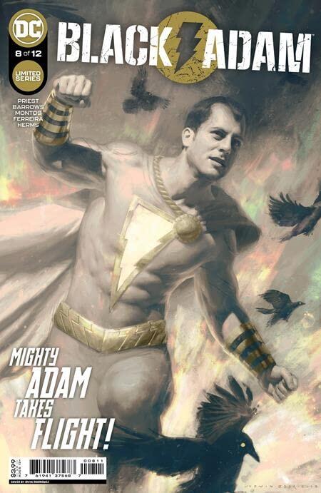 BLACK ADAM #8 CVR A IRVIN RODRIGUEZ