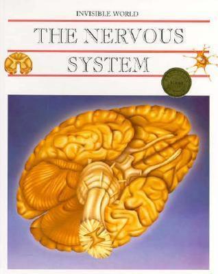 Nervous System and the Brain
