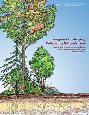 Integrated Landscaping: Following Nature's Lead