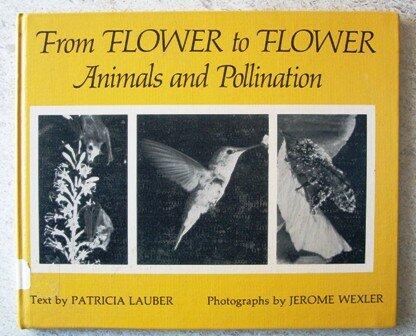 From Flower to Flower Ani & PO