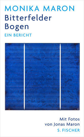 Bitterfelder Bogen: Ein Bericht