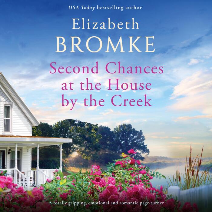Second Chances at Brambleberry Creek: Brambleberry Creek, Book 2