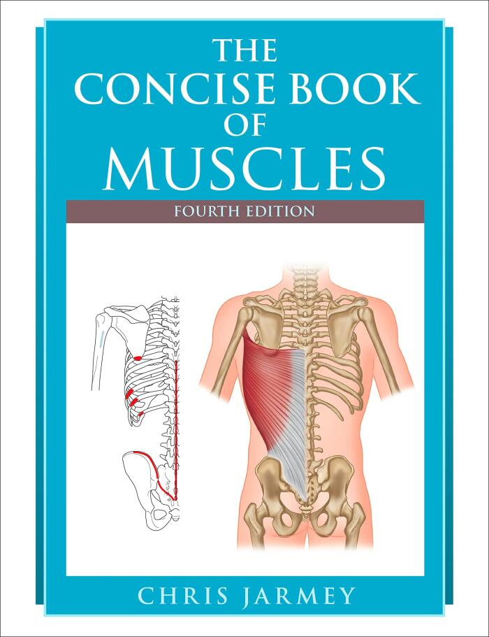 The Concise Book of Muscles, Lean in 15 - The Shape Plan, The Ultimate Flat Belly & Body Plan Cookbook, Get Lean And Strong 4 Books Collection Set