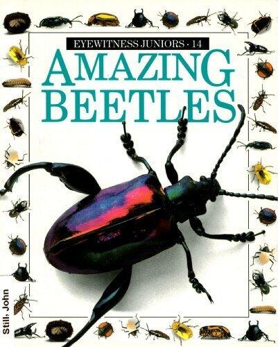 Amazing Beetles