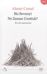Biz Sevmeyi Ne Zaman Unuttuk? - 40 Yılın Denemeleri