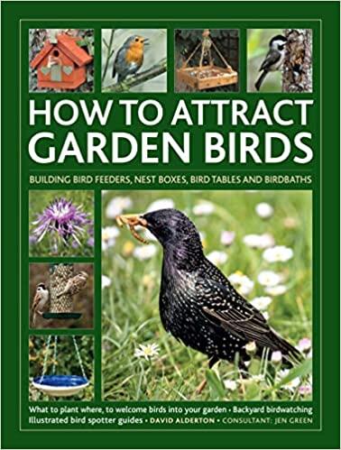 How to Attract Garden Birds: What to Plant * Bird Feeders, Bird Tables Birdbaths * Building Nest Boxes * Backyard Birdwatching; with Illustrated Directories of Common Garden Birds