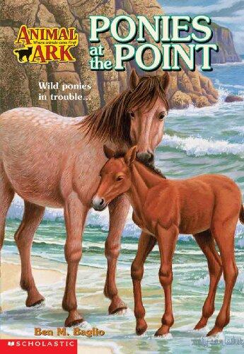 Ponies at the Point