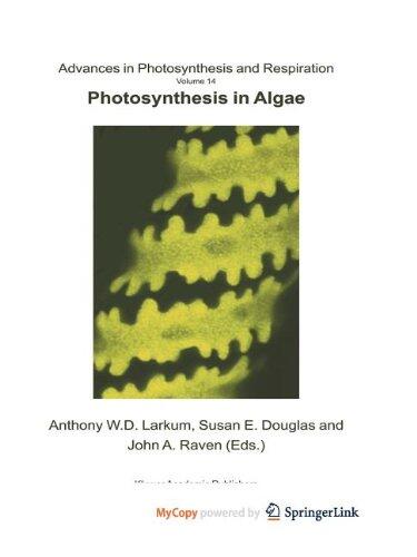 Photosynthesis in Algae