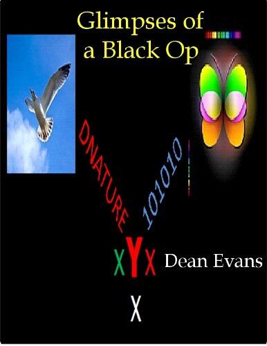 Glimpses of a Black Op