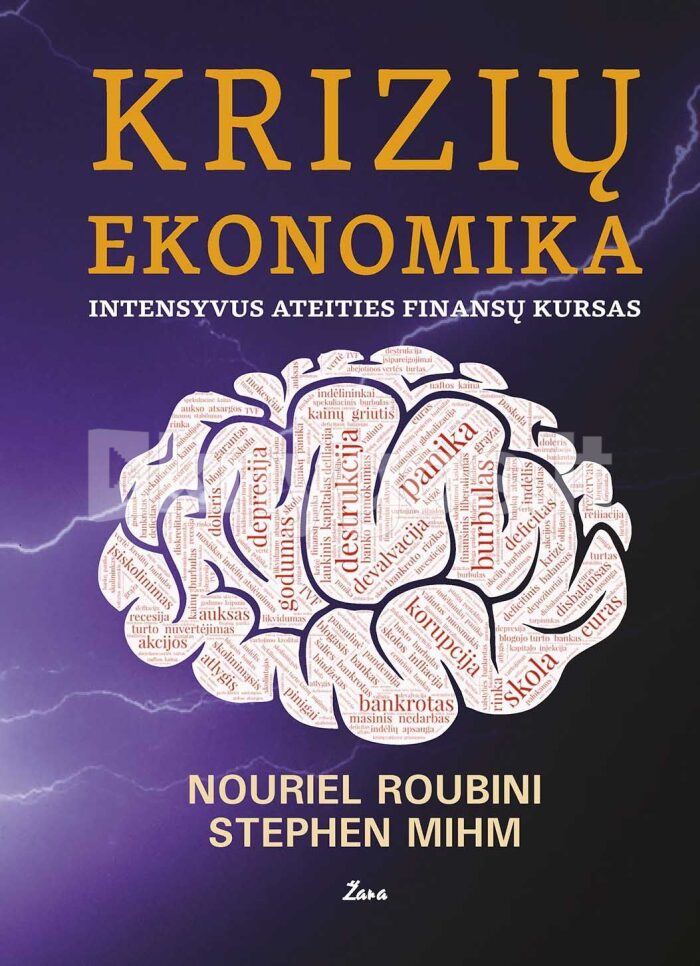 Krizių ekonomika: intensyvus ateities finansų kursas