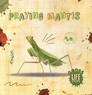 Gross Life Cycles