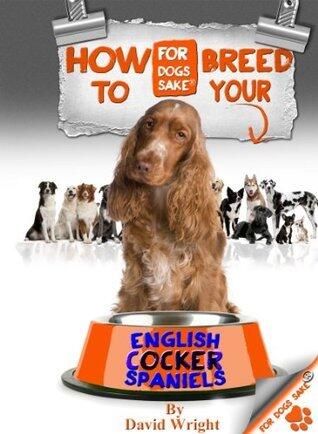 How to Breed your English Cocker Spaniel