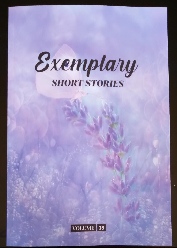 Exemplary Short Stories, Volume 35