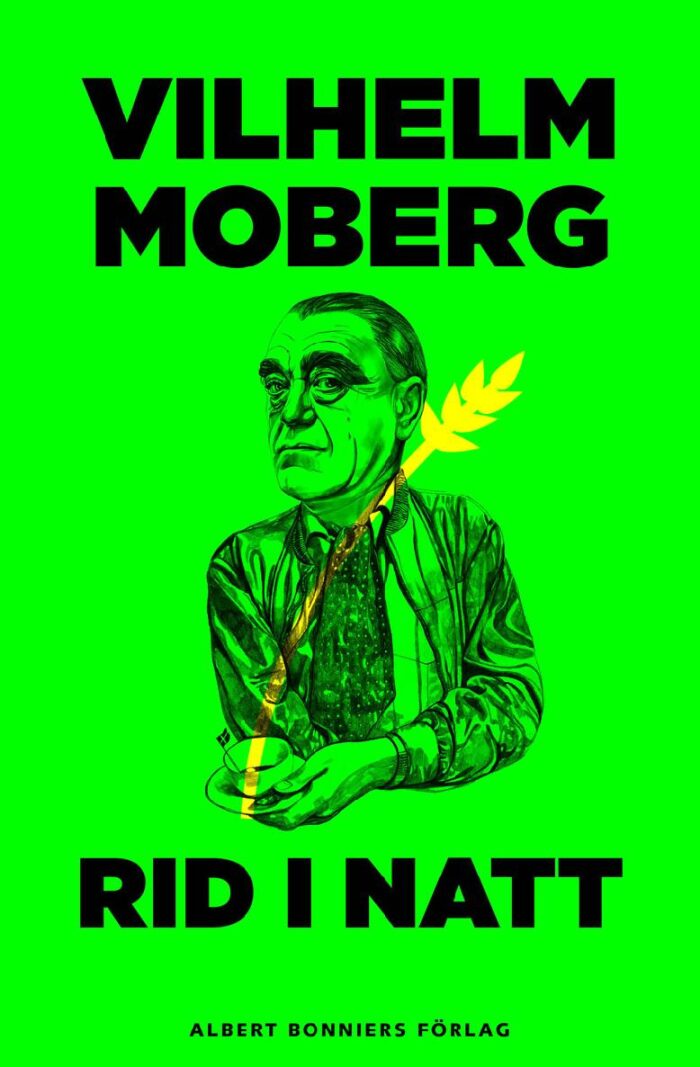 Rid i natt