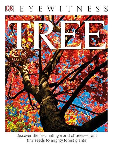 Eyewitness Tree: Discover the Fascinating World of Trees―from Tiny Seeds to Mighty Forest Giants