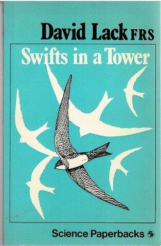 Swifts in a Tower